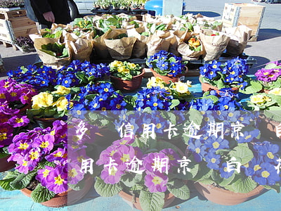 多張信用卡逾期京東白條花唄逾期-多張信用卡逾期京東白條花唄逾期怎么辦