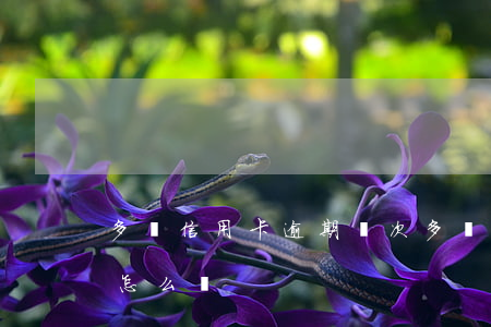 多張信用卡逾期兩次(多張信用卡逾期兩次會怎么樣)