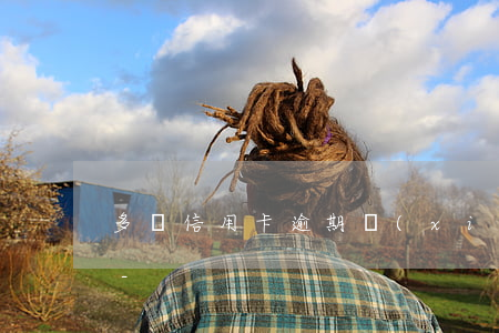 多張信用卡逾期協(xié)商10年還清-