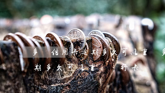 多張信用卡逾期多久可以重辦(多張信用卡逾期多久可以重辦銀行卡)