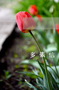 多張信用卡逾期多長時(shí)間會立按