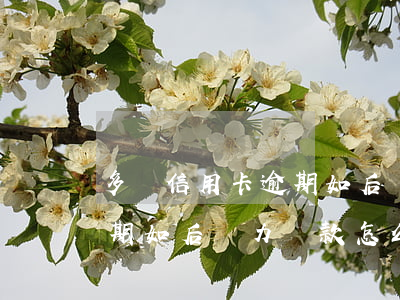 多張信用卡逾期如后無力還款(多張信用卡逾期如后無力還款怎么辦)