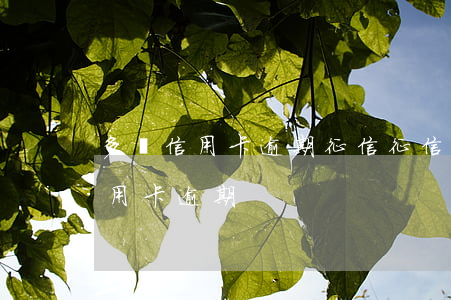 多張信用卡逾期征信(征信有一個(gè)信用卡逾期)