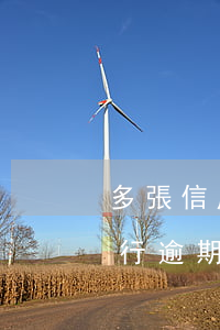 多張信用卡逾期怎么排賬單(多張信用卡,有一行逾期)