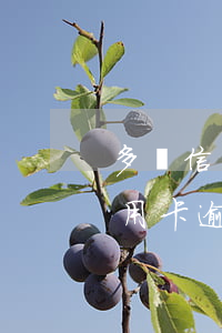 多張信用卡逾期會(huì)有什么后果(信用卡逾期很多次了還會(huì)有影響嗎)