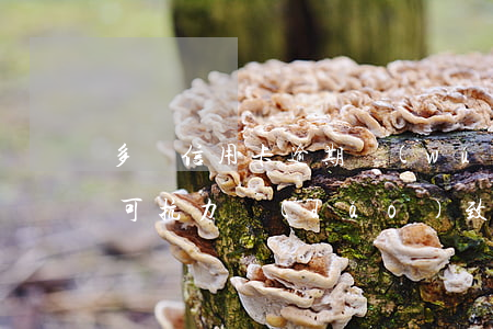 多張信用卡逾期無(wú)力償怎么辦-不可抗力導(dǎo)致的信用卡逾期怎么辦