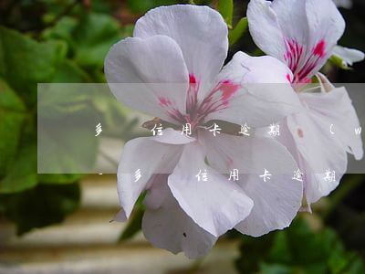多張信用卡逾期無(wú)力償還怎么辦法-多張信用卡逾期無(wú)力償還怎么辦法解決