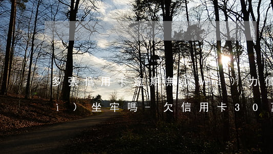 多張信用卡逾期無(wú)力償還會(huì)坐牢嗎-欠信用卡30萬(wàn)死了要家人還嗎