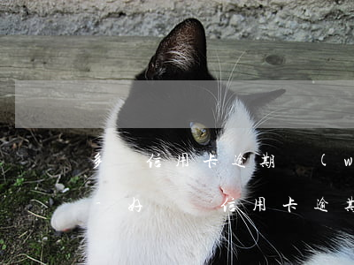 多張信用卡逾期無(wú)力償還絕望痛苦-好幾張信用卡逾期怎么辦