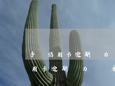 多張信用卡逾期無力償還刑事責任-多張信用卡逾期無力償還刑事責任怎么辦