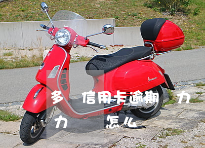 多張信用卡逾期無力償還(多張信用卡逾期無力償還怎么辦)