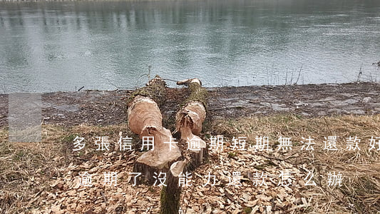 多張信用卡逾期短期無法還款(好幾張信用卡逾期了沒能力還款怎么辦)