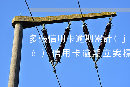 多張信用卡逾期累計(jì)立案(多個(gè)信用卡逾期立案標(biāo)準(zhǔn))