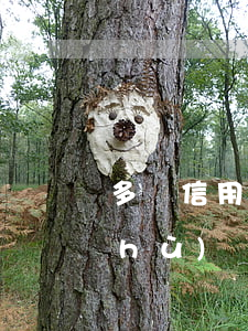 多張信用卡逾期要累計(jì)算次數(shù)嗎-還信用卡有次數(shù)限制嗎