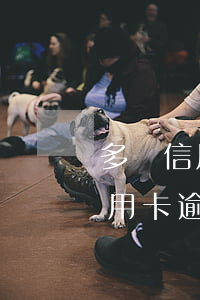 多張信用卡逾期超五年(五年內(nèi)信用卡逾期10次但兩年內(nèi)無逾期)