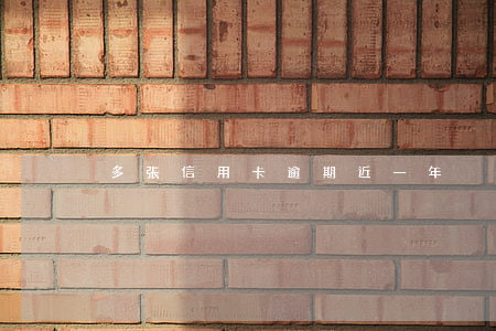 多張信用卡逾期近一年
