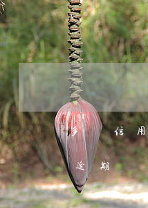 多張信用卡逾期避免上訴 民事訴訟法信用卡逾期