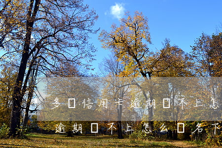 多張信用卡逾期還不上怎么辦-多張信用卡逾期還不上怎么辦名下有房產(chǎn)辦