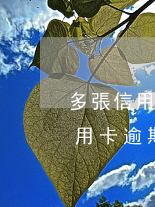 多張信用卡逾期還不上怎么辦判刑-多張信用卡逾期還不上怎么辦判刑了