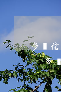 多張信用卡逾期還不上怎么辦會有什么后果-多張信用卡逾期還不上怎么辦會有什么后果嗎