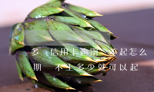 多張信用卡逾期還不起怎么辦-欠信用卡逾期還不上多少就可以起訴了