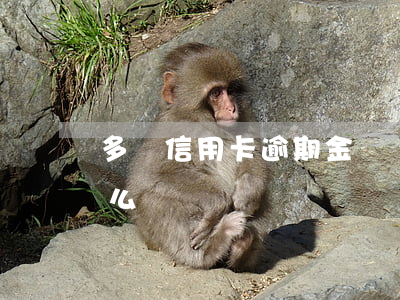 多張信用卡逾期金額過大(信用卡超額逾期怎么辦)