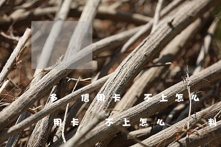 多張信用卡還不上怎么辦會判刑嗎-多張信用卡還不上怎么辦會判刑嗎知乎
