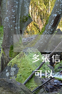 多張信用卡都可以掛賬停息-多張信用卡都可以掛賬停息掛賬嗎