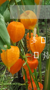 多張信用卡額度10萬(wàn)逾期(六七張信用卡額度二十多萬(wàn)全部逾期)