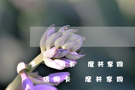 多張信用卡額度共享同時(shí)逾期(多張信用卡額度共享同時(shí)逾期)