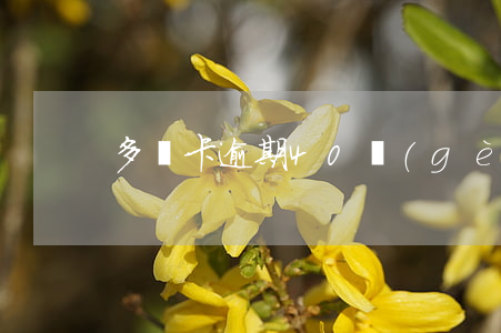 多張卡逾期40個(gè)月才還什么后果