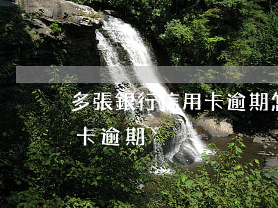 多張銀行信用卡逾期怎么辦(好幾個銀行信用卡逾期)