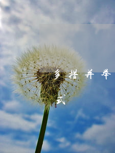 多措并举催收逾期贷款(银行贷款逾期催收方式)