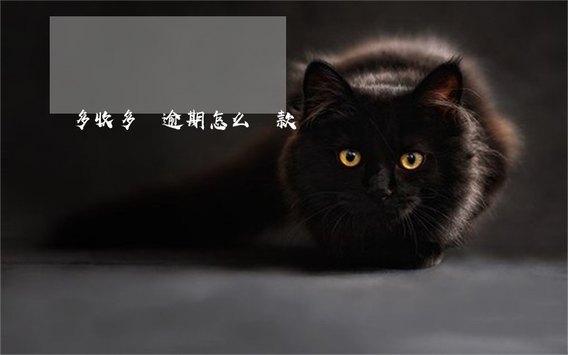 多收多貸逾期怎么還款