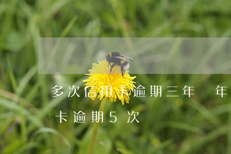 多次信用卡逾期三年(兩年內(nèi)信用卡逾期5次)
