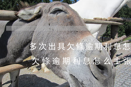多次出具欠條逾期利息怎么主張-多次出具欠條逾期利息怎么主張呢