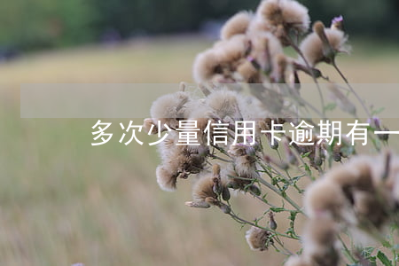 多次少量信用卡逾期(有一次信用卡逾期記錄)