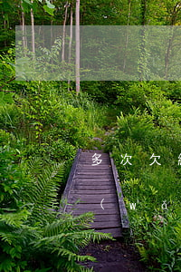 多次欠網(wǎng)貸怎么跟家人坦白(網(wǎng)貸欠錢怎么跟家里人坦白)