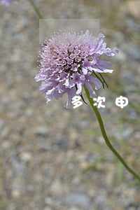 多次申請貸款但未逾期(逾期幾次不能貸款)
