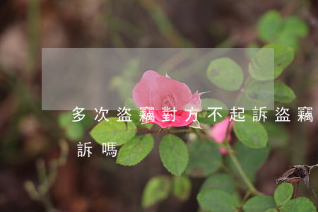 多次盜竊對方不起訴(盜竊案檢察院可以不起訴嗎)