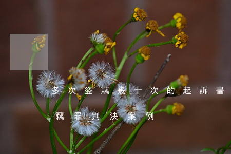 多次盜竊幾十次的起訴書(shū)(多次盜竊罪判決案例)