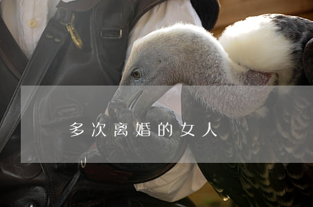 多次离婚的女人
