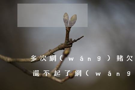 多次網(wǎng)賭欠網(wǎng)貸還不起了(網(wǎng)賭欠的網(wǎng)貸可以不還嗎)