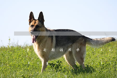 多次逾期信用卡會(huì)有什么風(fēng)險(xiǎn)(銀行卡信用卡逾期有什么后果)