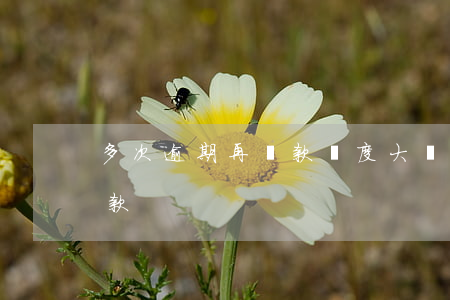 多次逾期再貸款難度大(貸款逾期幾次不能貸款)