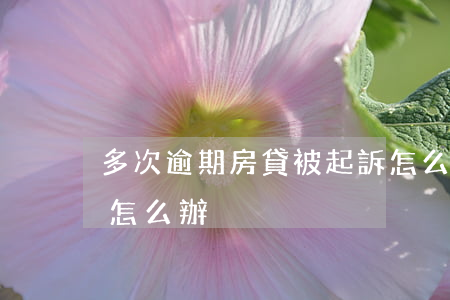 多次逾期房貸被起訴怎么解決(房貸逾期被告怎么辦)