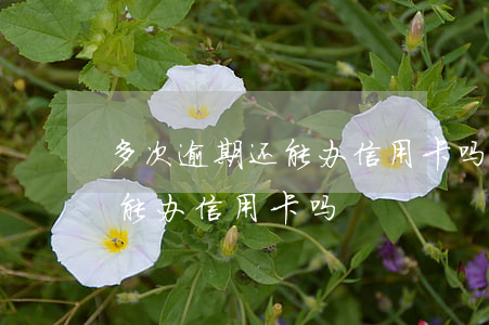 多次逾期还能办信用卡吗知乎-有几次逾期能办信用卡吗