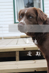 多次間斷逾期會被列入黑名單嗎-多次間斷逾期會被列入黑名單嗎知乎