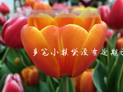 多笔小额贷没有逾期已经还清
