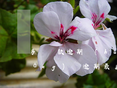 多筆貸款逾期會(huì)怎樣(多家網(wǎng)貸逾期最后是怎么處理)